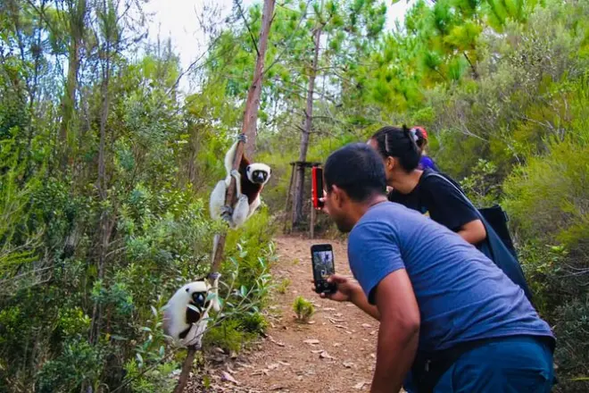 Day tour from Antananarivo to Mantasoa Lake & Nosy Soa Park