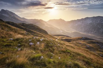 Feel the wild beauty of durmitor on a circular drive, taste homemade food with locals, and pause at dramatic viewpoints. includes meals, guide, and pickup.