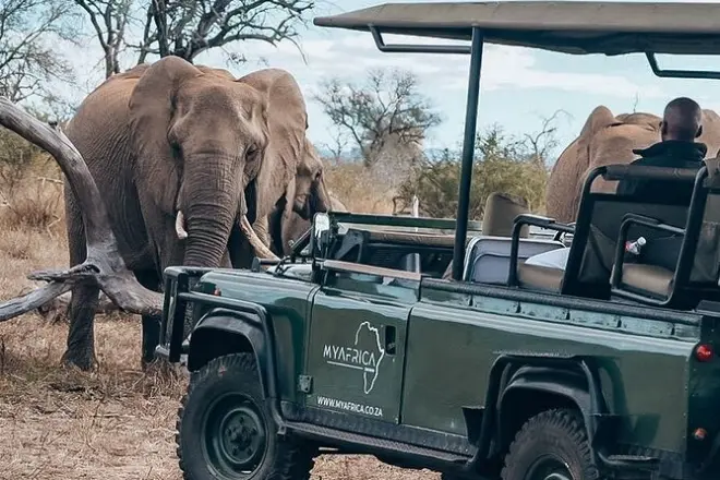 Safari Big 5 au parc Kruger avec petits groupes et guides experts