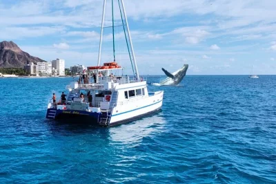 Waikiki, observation des baleines à bosse avec guides locaux, vues sous-marines uniques, collations incluses et garantie de voir les cétacés.