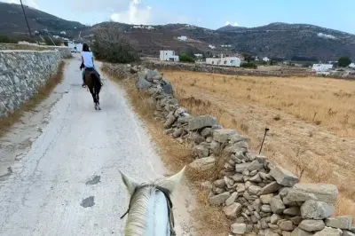 Horseback riding in Paros: Early morning countryside ride