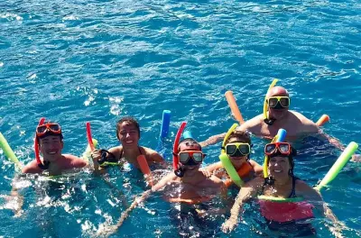 Schnorcheln in Cruz Bay: Kleine Gruppe segelt mit Meeresschildkröten