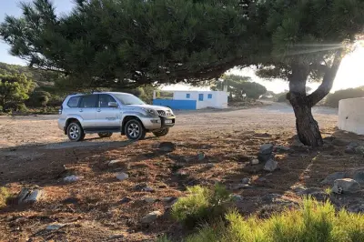 Kefalos & Cavo Paradiso tour: Forest, honey, swim and lunch