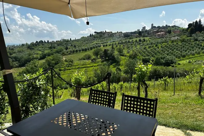 San Gimignano: Privates Mittagessen mit Wein- und Ölprobe