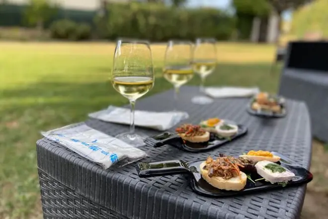 E-Bike Tour Conero Mountain: Wine Tasting in Marche
