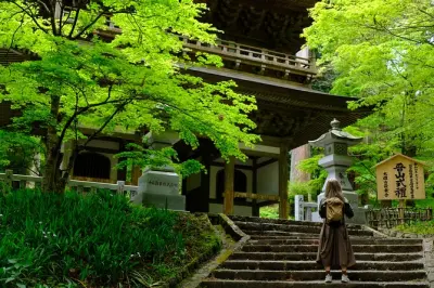 Temple Forest Walk & Onsen in Hakone from Odawara