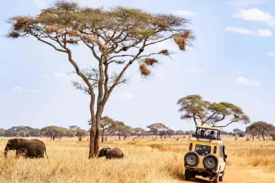 Safari no parque nacional Nyerere saindo de Zanzibar: Game drive compartilhado