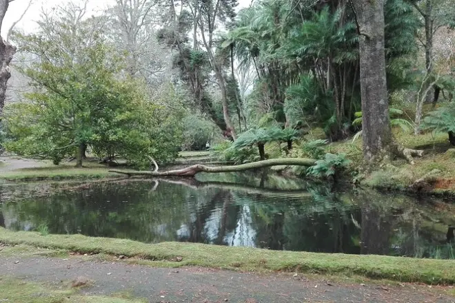 Lago e sorgenti termali di Furnas da Ponta Delgada: Viste vulcaniche