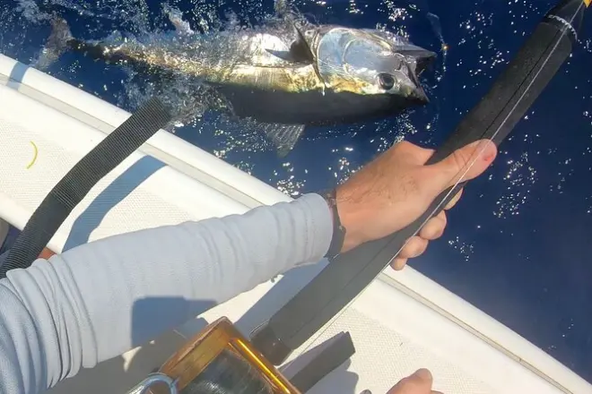 Pêche au thon rouge dans les îles Égades