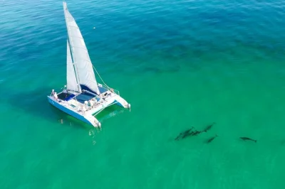 Comece seu dia em key west navegando, fazendo caiaque entre manguezais e snorkel nos recifes com guia local. inclui lanches orgânicos, todo equipamento e grupo pequeno para mais conforto.