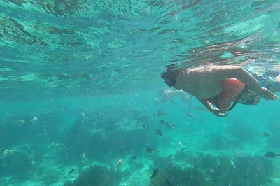 Isla mujeres, barriere coralline e museo subacqueo: snorkeling guidato con attrezzatura inclusa. giornata perfetta per famiglie con facile accesso in barca.