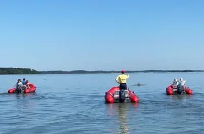 Mini-Bootstour Hilton Head: Fahrt zur Disappearing Island