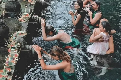 Erlebe die heiligen quellen von tirta empul, schlendere durch ubids reisterrassen und besuche den tegenungan wasserfall. inklusive privatem auto, englischsprachigem guide und hotelabholung.