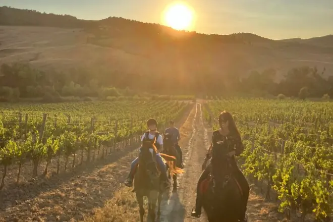 Montepulciano à cheval : Collines toscanes pour tous niveaux