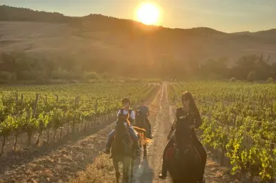 Montepulciano à cheval : Collines toscanes pour tous niveaux