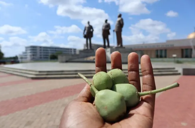 Tour di 2 giorni da Gaborone: Città, villaggio e natura