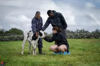 Terceira Dairy Farm Tour: Milk Your Own Cows