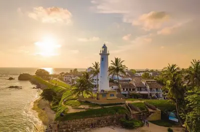 Galle Day Tour from Bentota: Tea, Turtles & UNESCO Fort