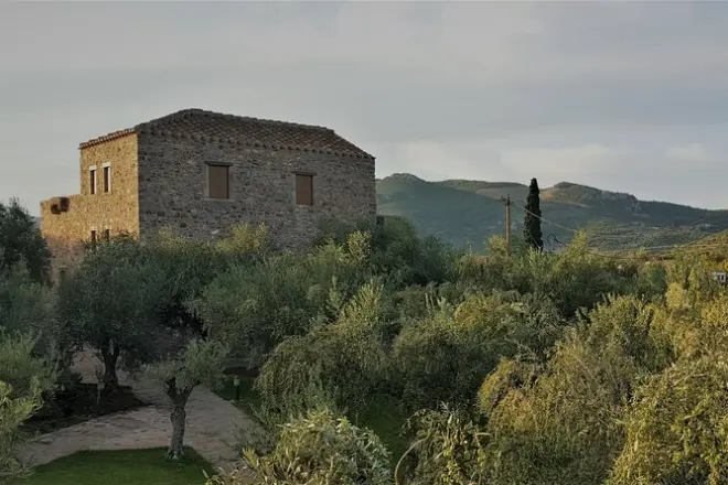 Degustação privada de azeite e vinho em Monemvasia