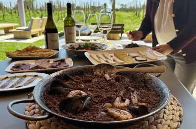 Wine tasting in l'Empordà: Biodynamic vineyard walk and lunch