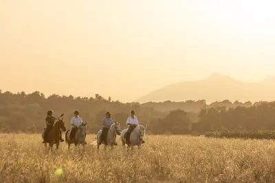 Horseback Riding & Wine Tasting in l'Empordà