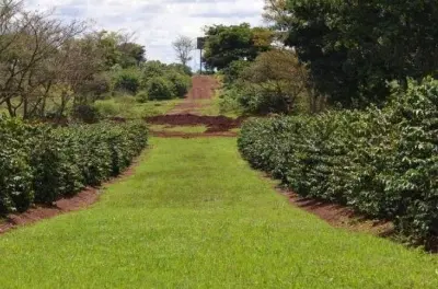 Fairview Kaffeeplantage Tour in Nairobi: Kaffeeverarbeitung erleben