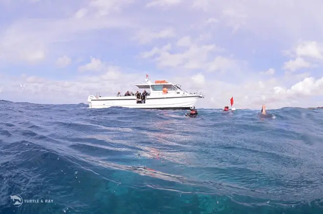 Mergulho em Eastpoint, Curaçao: 2 mergulhos guiados de barco