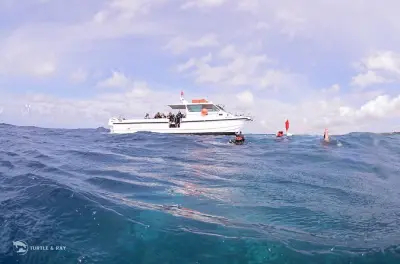 Mergulho em Eastpoint, Curaçao: 2 mergulhos guiados de barco