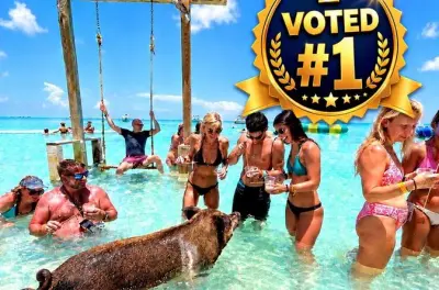 Snorkel em Rose Island com porcos, tartarugas e praia privativa