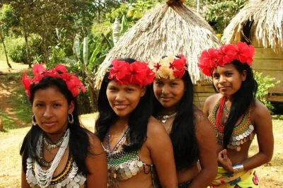 Visit an embera indigenous village in chagres national park. boat ride, rainforest walk, waterfall, local lunch, and authentic culture. book your spot now.