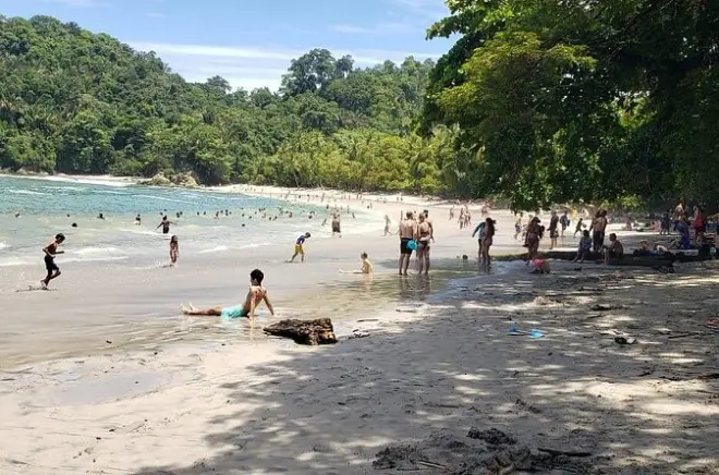 Parque nacional Manuel Antonio: Tour de un día con fauna y playa