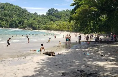Manuel Antonio National Park day trip: Wildlife & beach