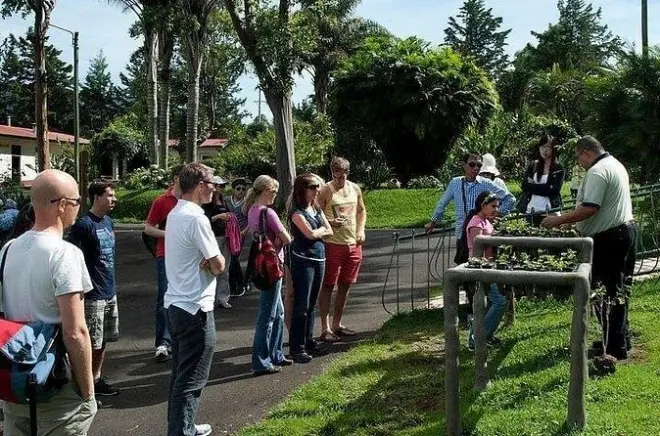 Vulcano Poás, caffè e paesi artigianali da San José in un giorno