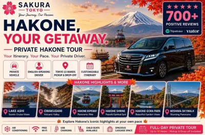 Hakone privato con autista inglese: Lago, santuario e arte