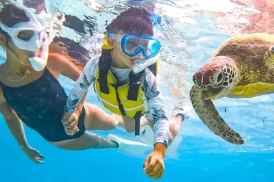 Snorkeling in Miyakojima: Sea Turtle Encounters