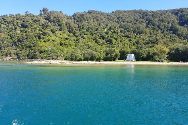 Mezza giornata nel Queen Charlotte Sound da Picton con Ship Cove