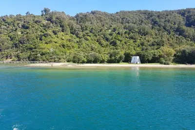 Mezza giornata nel Queen Charlotte Sound da Picton con Ship Cove
