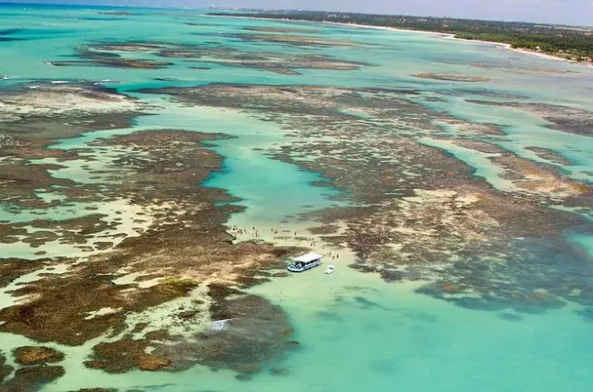 Playa Paripueira y pozas de marea desde Maceió: Acceso a arrecife de coral