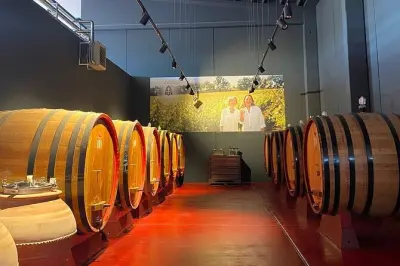 Wine tasting in Catignano, Abruzzo: Organic Montepulciano