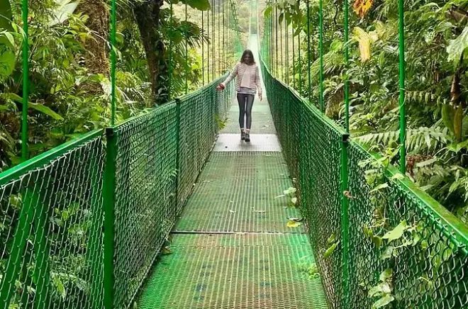 Monteverde Hanging Bridges & Night Walk Tour
