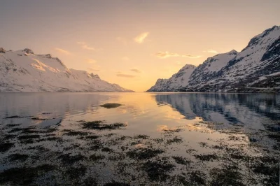 Esplora le strade di kvaløya, avvista renne e aquile di mare, gusta il pranzo nel villaggio di pescatori di ersfjordbotn. include pickup, snack e guida locale.