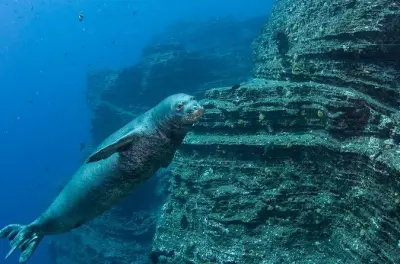 Niihau Scuba Diving: 2 or 3 Tank Private Charter