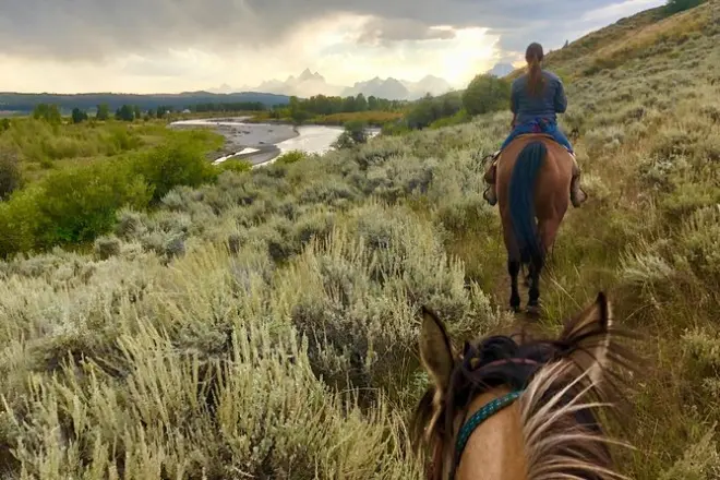 Paseo a caballo con cena al aire libre en Yellowstone