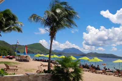 Ride an open safari truck from basseterre to a st kitts beach, spot monkeys, enjoy local food, and relax with drinks. hotel or port pickup included.