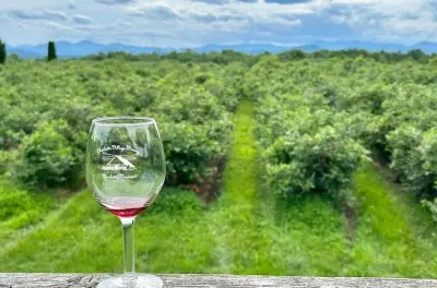 Small Group Wine & Cider Tour in Burlington, Vermont