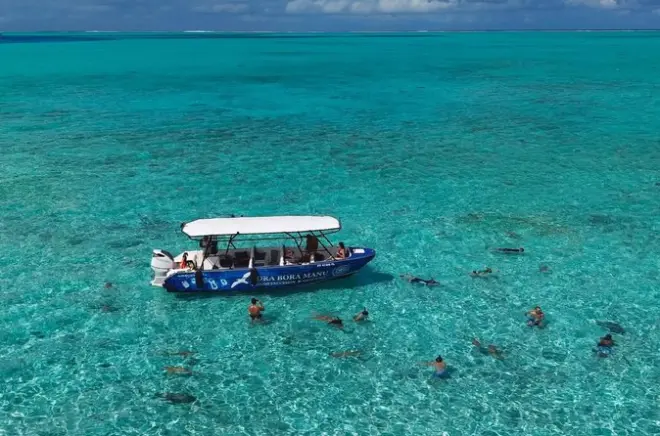 Snorkel en Bora Bora: Tiburones, mantarrayas y jardines de coral