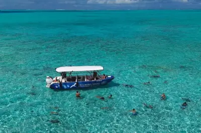 Snorkel en Bora Bora: Tiburones, mantarrayas y jardines de coral