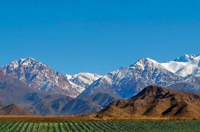 Tour vino valle di Uco da Mendoza: Due cantine e pranzo