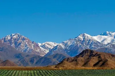 Tour vino valle di Uco da Mendoza: Due cantine e pranzo