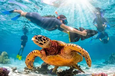 Snorkeling a Moorea: Scooter subacquei privati e vita marina